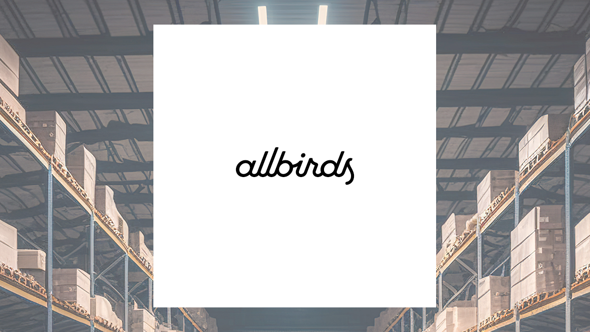 Allbirds logo with Retail/Wholesale background