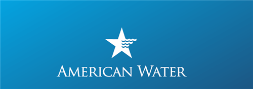 AWK Stock Forecast, Price & News (American Water Works)