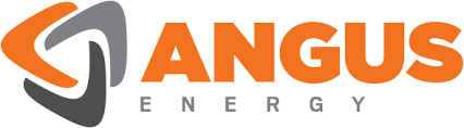ANGS stock logo