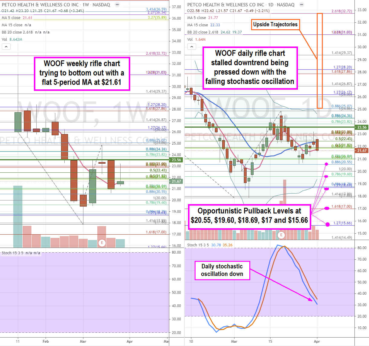 Petco is an Attractive Buying Opportunity Here 