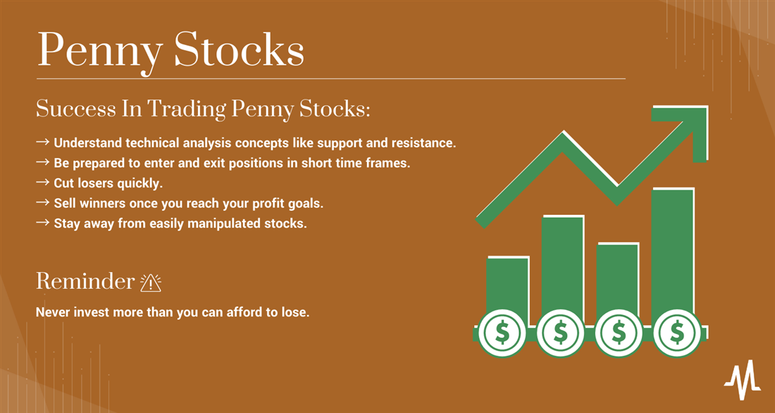 what is a penny stock infographic
