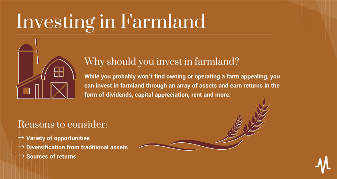 Infographic about investing in farmland on MarketBeat
