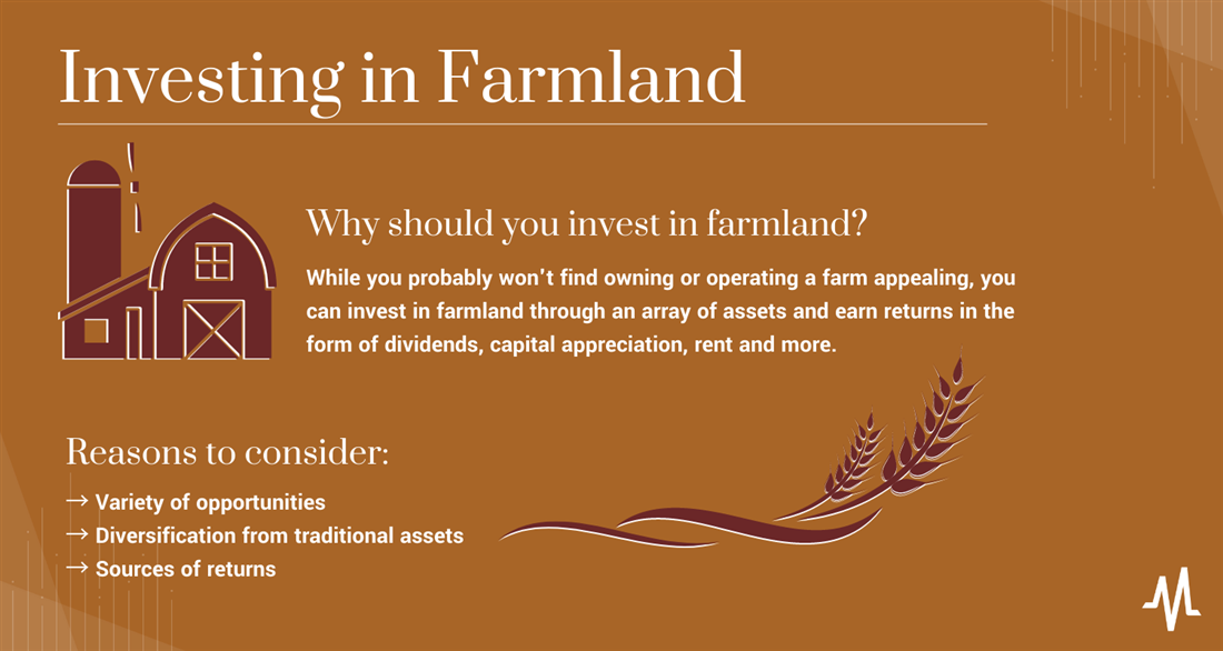 How to Invest in Farmland: 7 Simple Ways