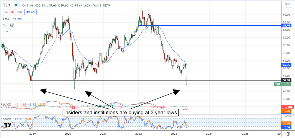 Tyson Stock chart 