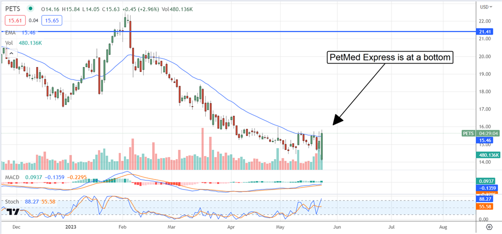 PetMed express stock chart 