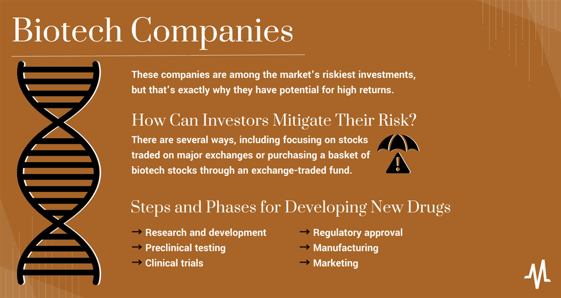 Biotech stocks overview and infographic