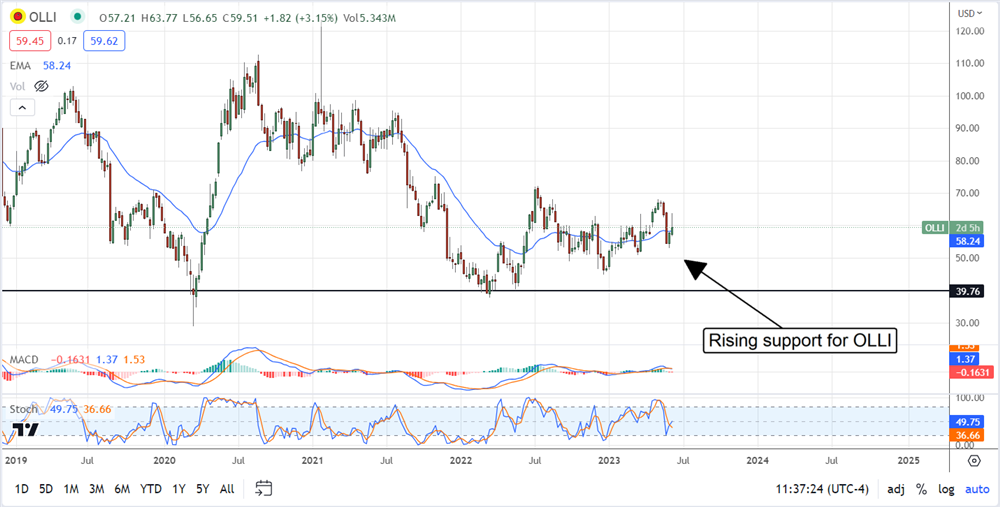 Oliies Outlet Stock Chart 