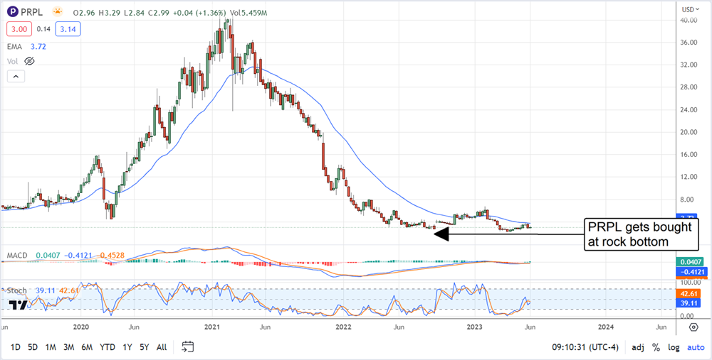 Purple innovations stock price chart 