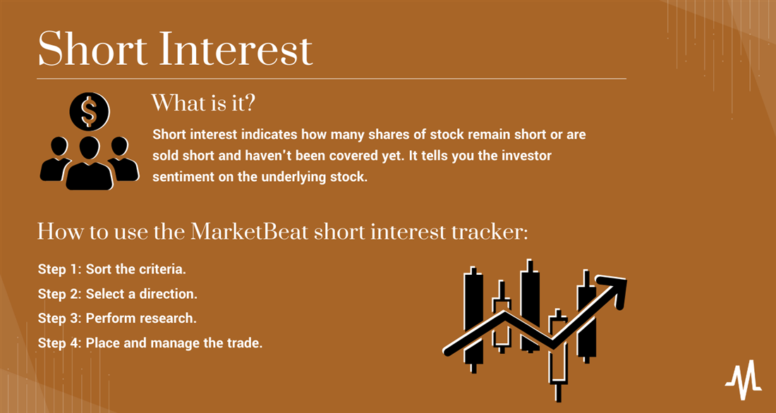 Highest short interest stocks overview infographic