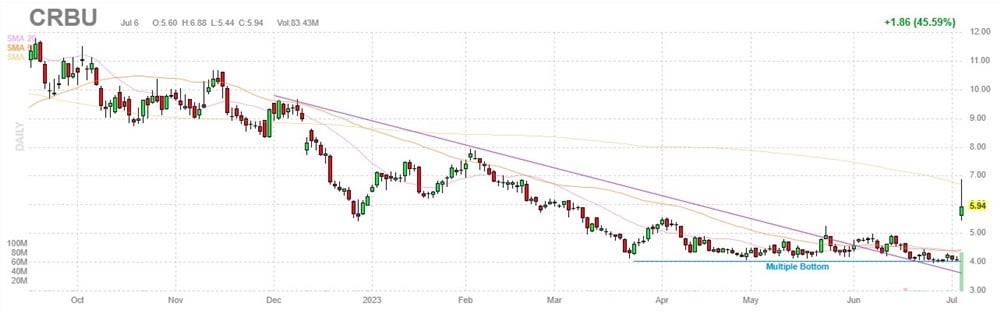 Caribou stock chart 