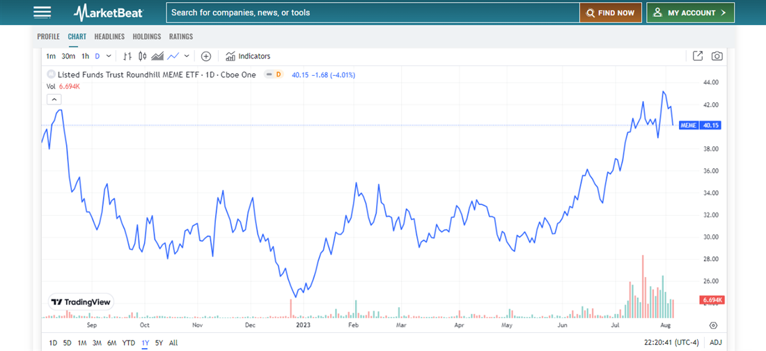 Roundhill Meme ETF overview