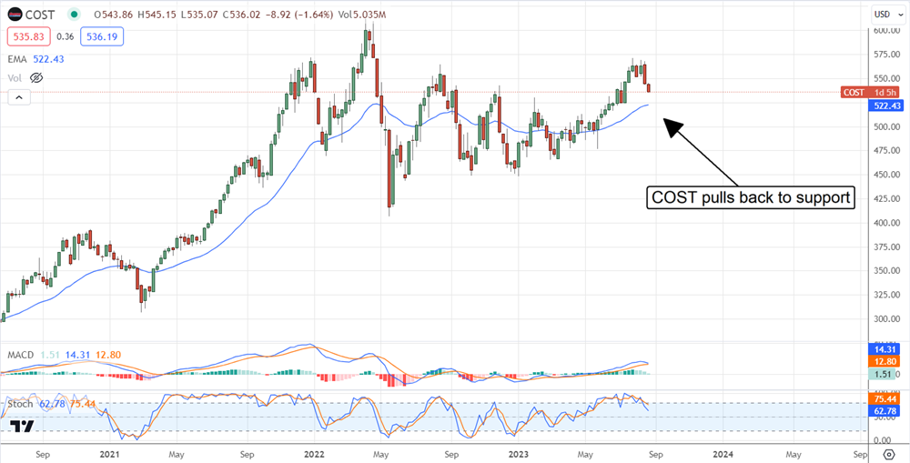 Costco Stock Chart 