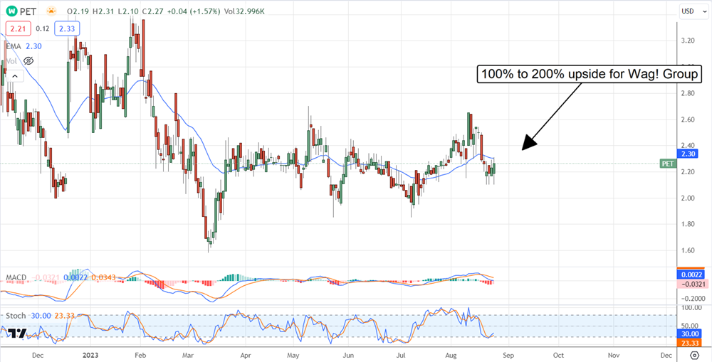 wag group stock chart