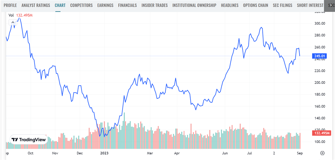 Example of investing in a bull market