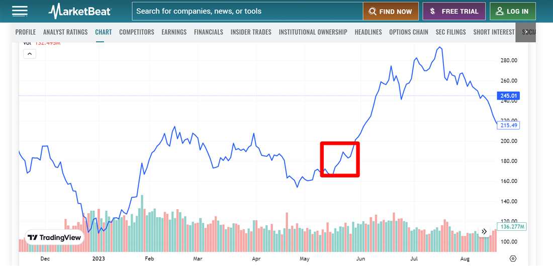 Investing in Tesla during a bull market