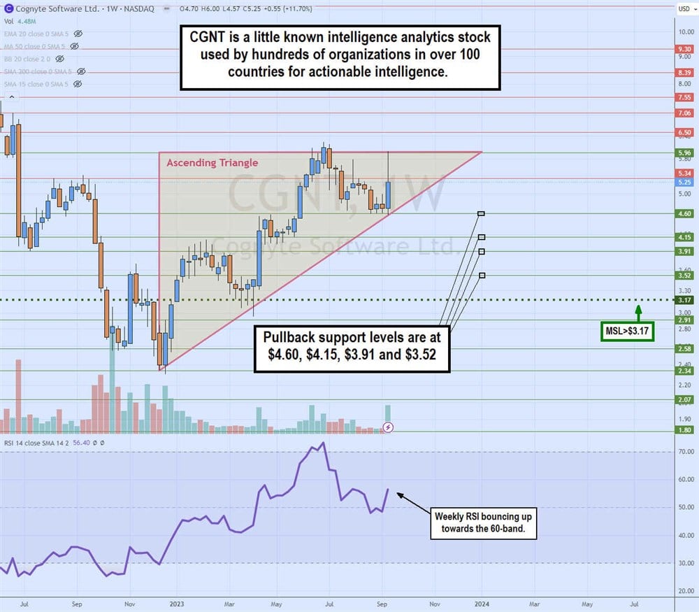 cgnt stock chart