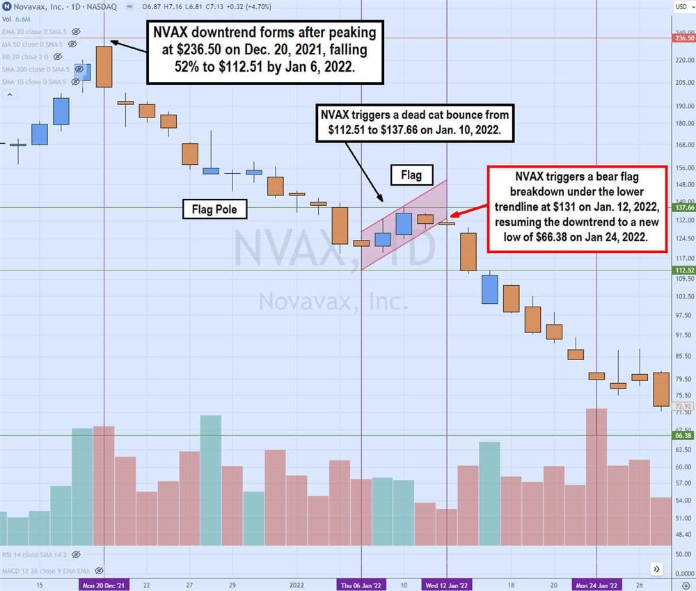 Bear flag example