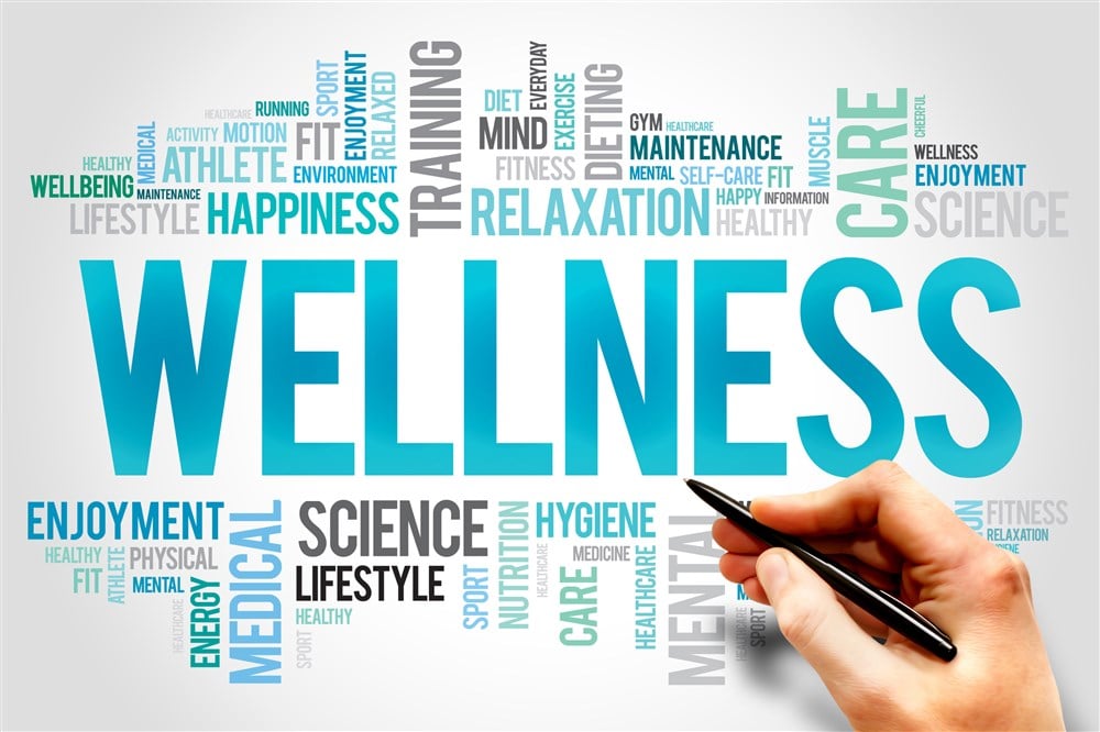 word cloud with Wellness as most prominent word