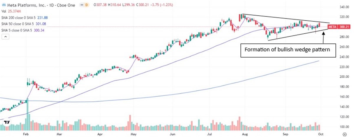 meta technical support chart