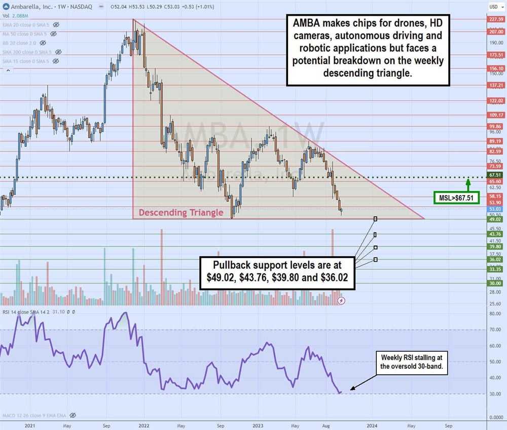 amba stock