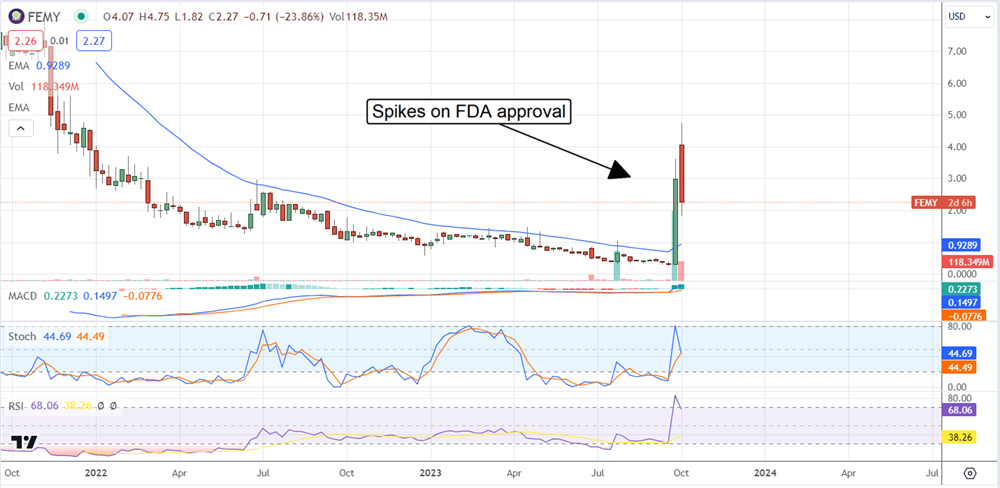 femy stock chart