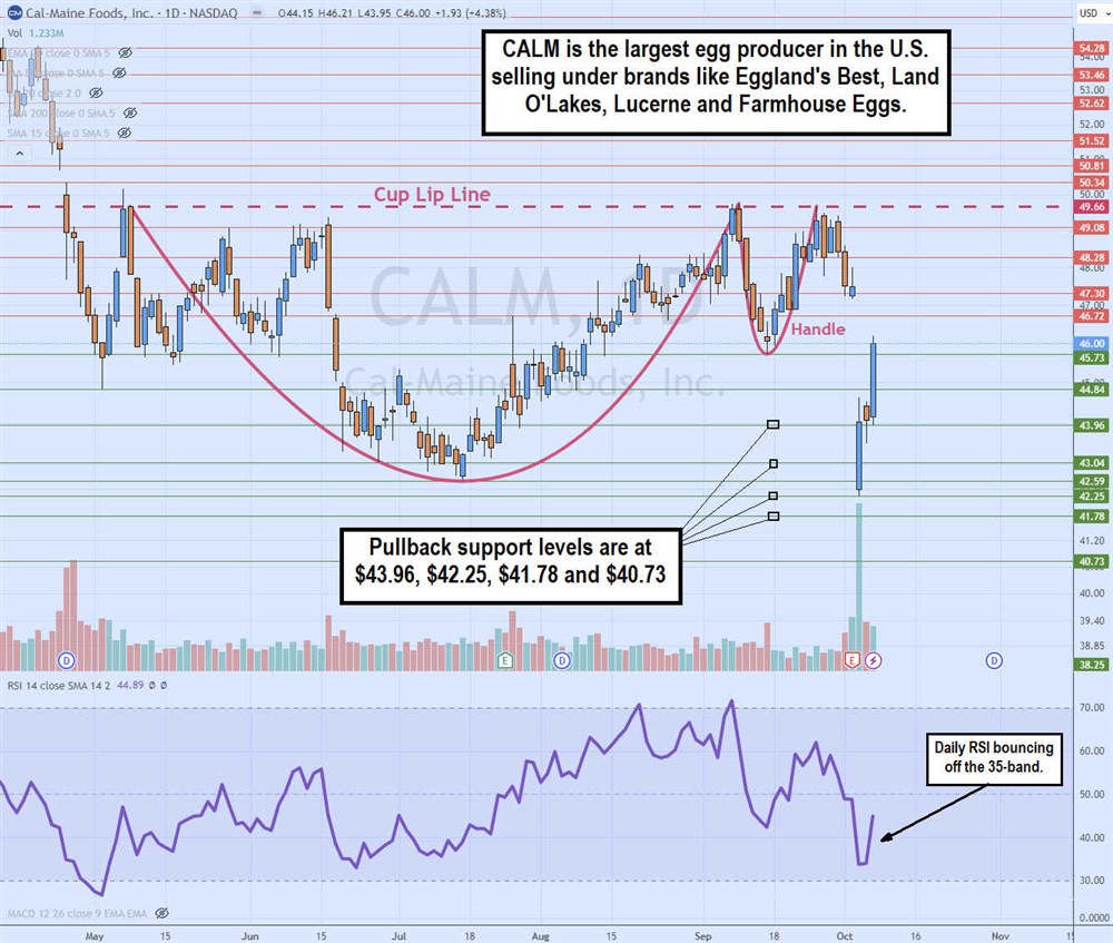 CalMaine stock chart 