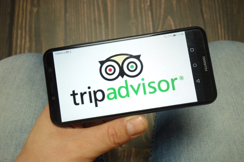 TripAdvisor stock price 