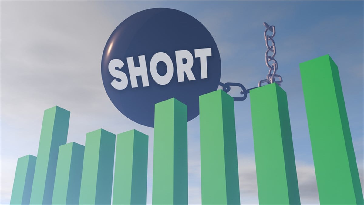 Shorted stocks 