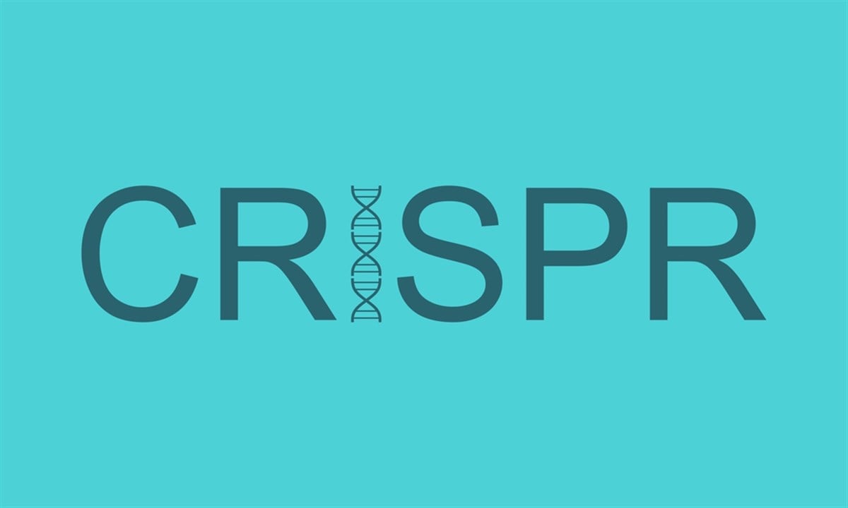 CRISPR Therapeutics stock price