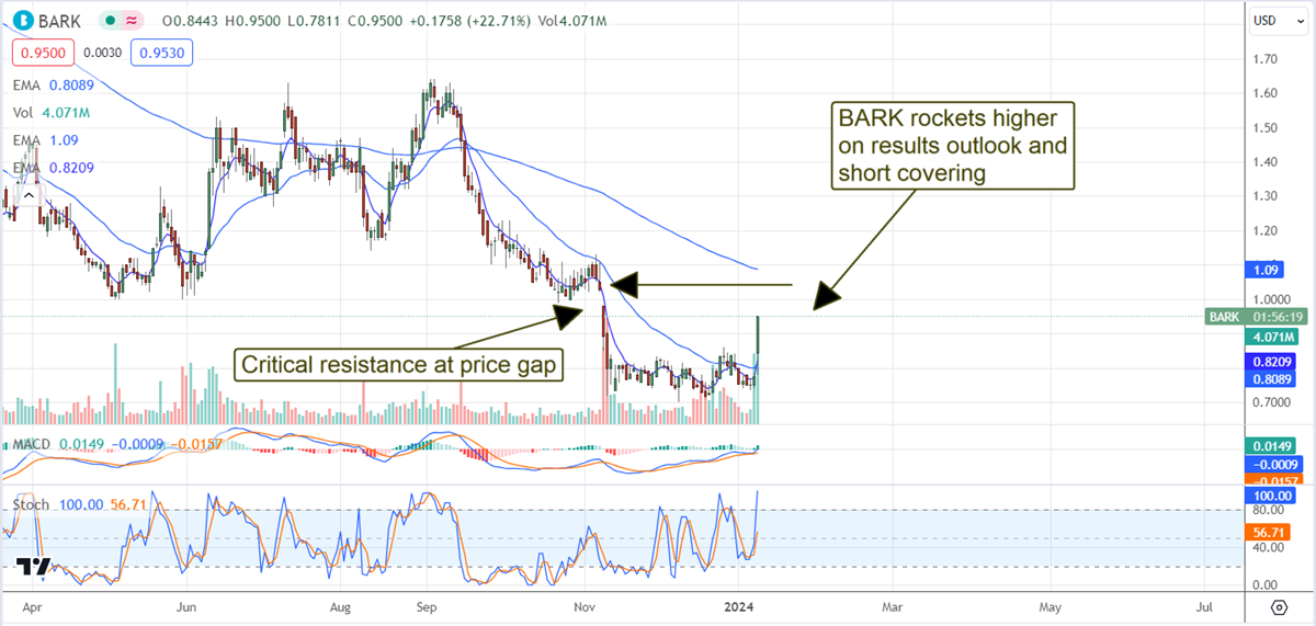 Bark Stock chart 