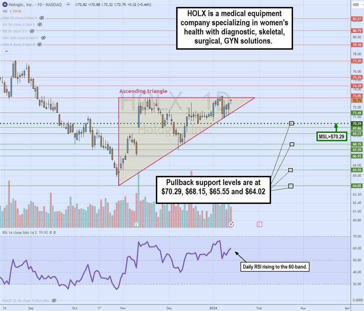 HOLX chart