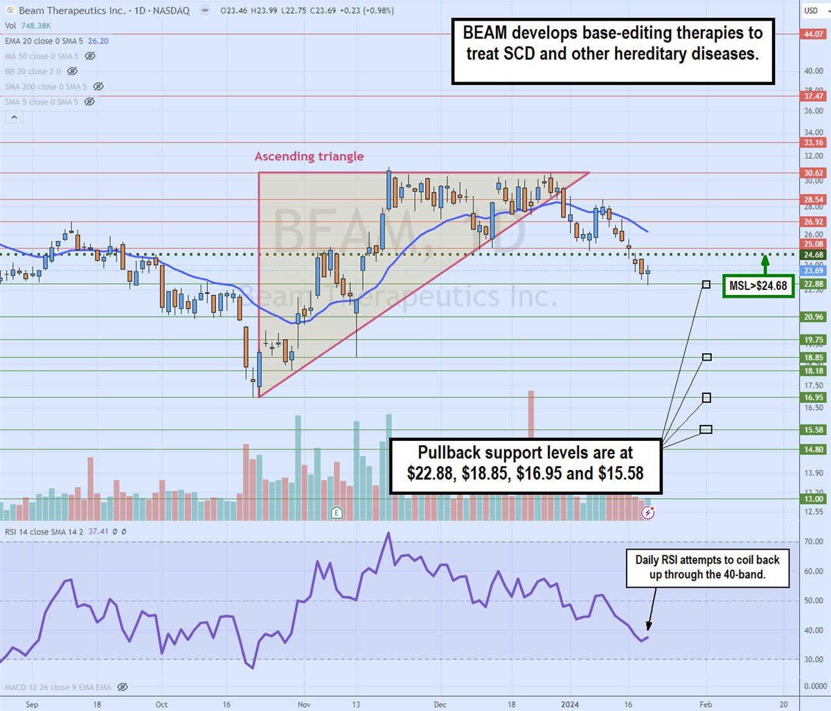 Beam Therapeutics chart