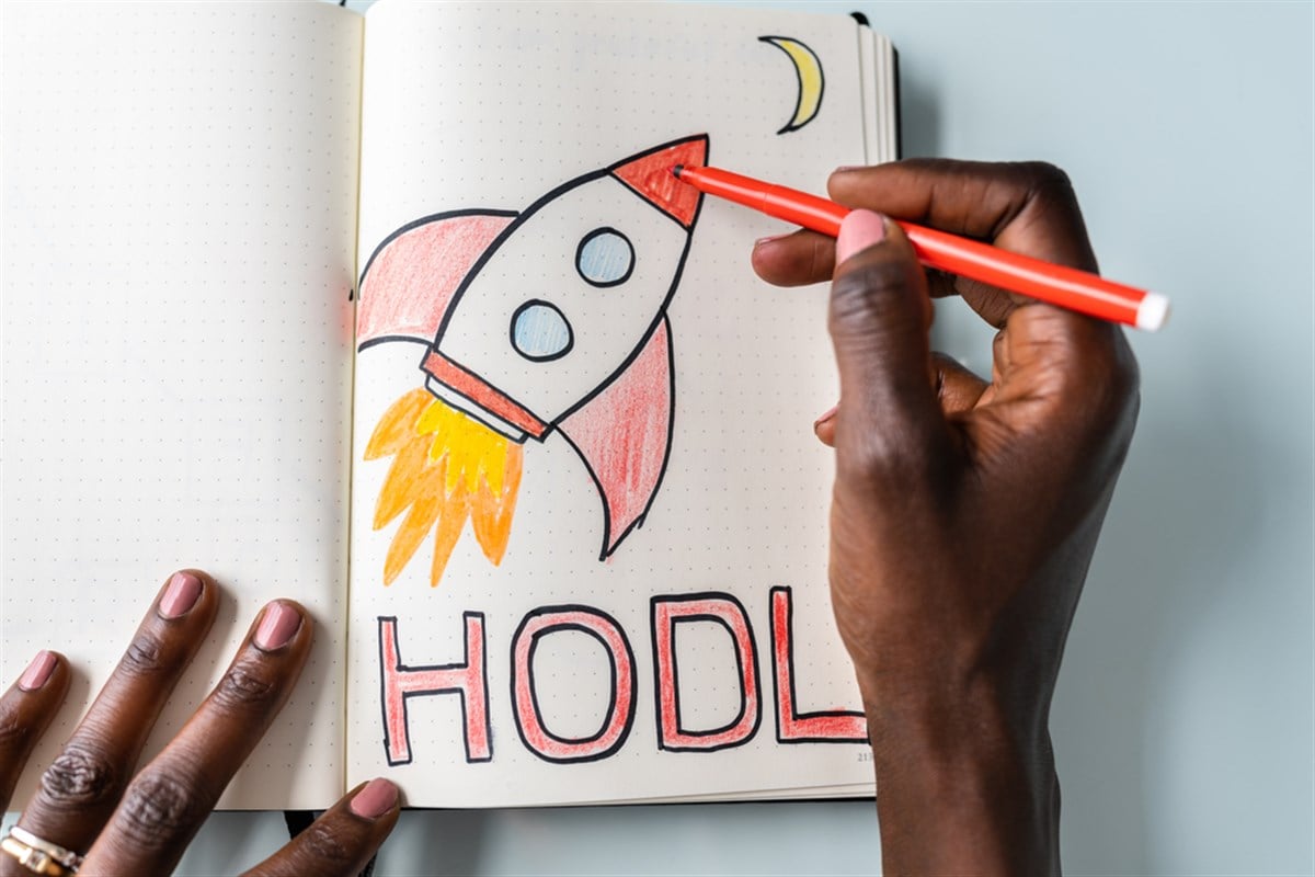 Best meme stocks to buy now; image of someone coloring HODL