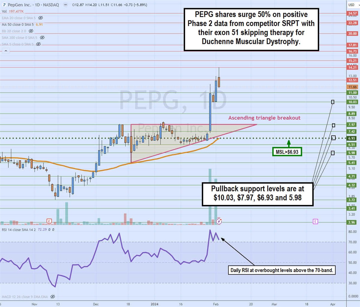 pepgen daily ascending triangle breakout