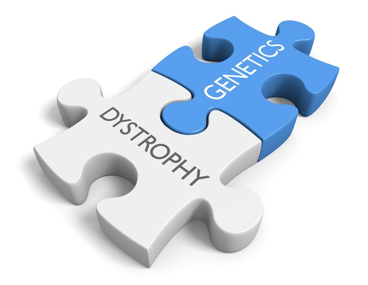 illustration of jigsaw puzzle pieces with words dystrophy and genetics