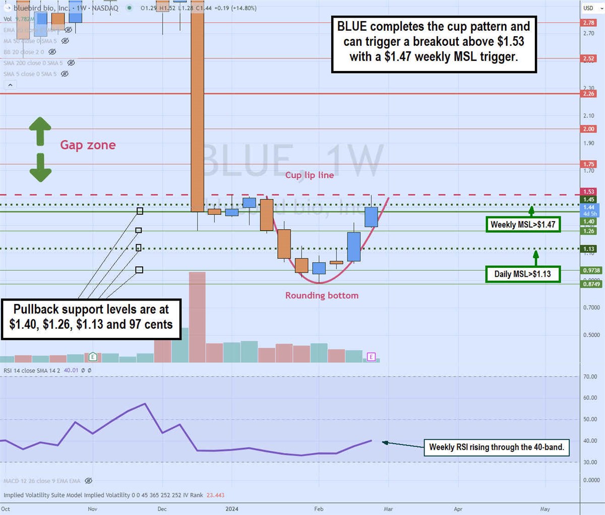 bluebird stock chart 