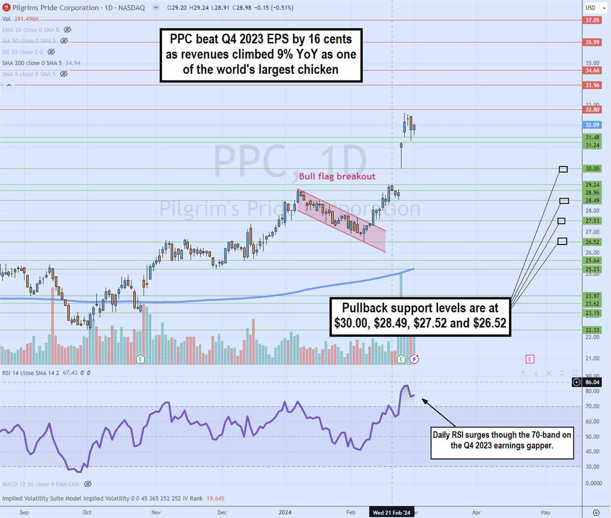 pilgrim's pride stock daily bull flag breakout