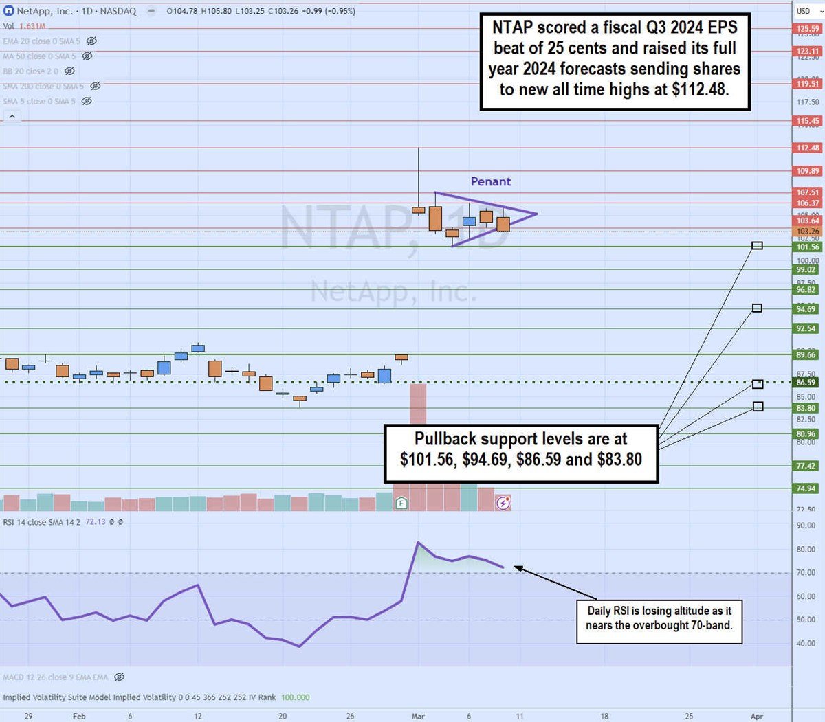 ntap stock daily pennant pattern