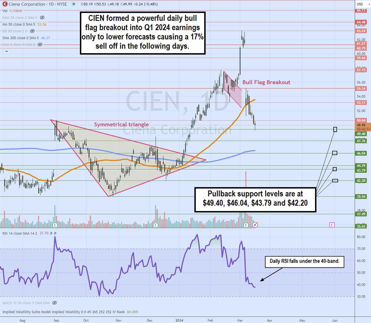 ciena daily bull flag breakdown