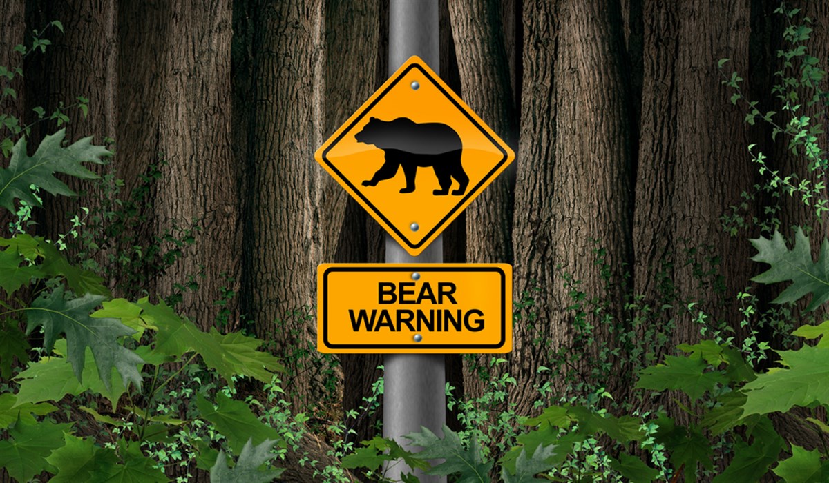 Bear warning in the woods signage or camping danger sign as a scary predator as a risk for Bears in the wild with 3D illustration elements.