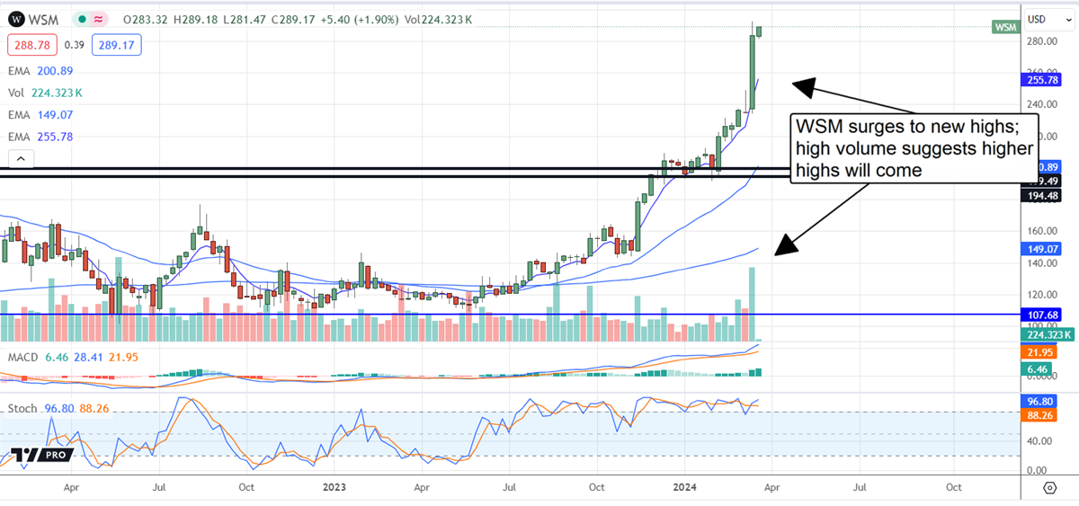 WSM stock price chart 