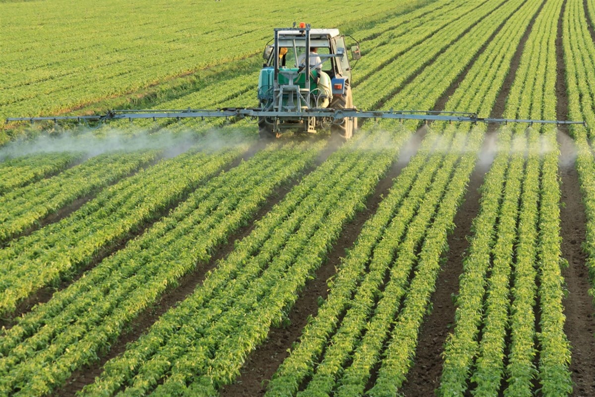 3 Stocks Leading the U.S. Agriculture Comeback