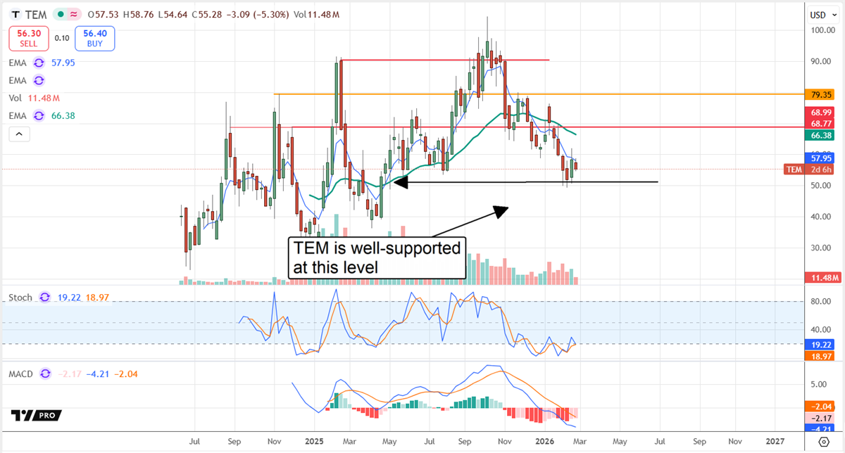 Tempus AI (TEM) stock chart shows pullback to support near $55 as volume fades and momentum weakens.