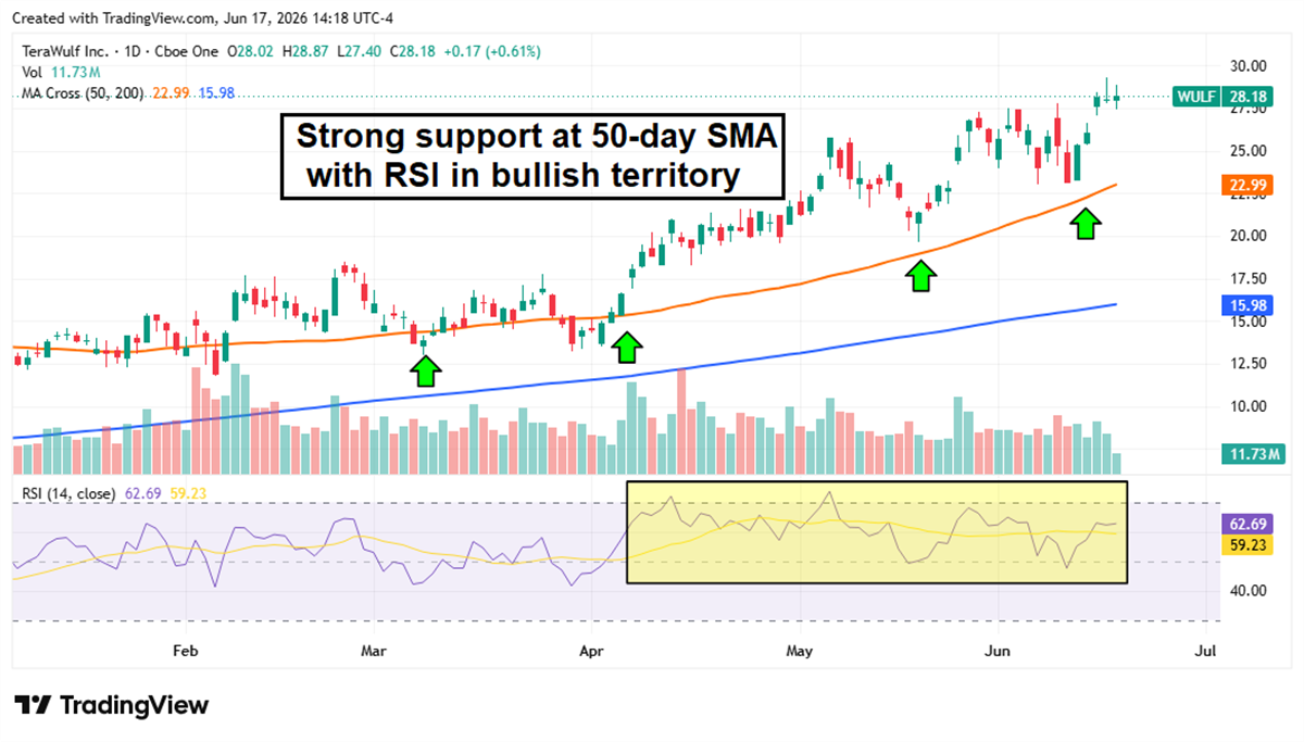 Daily stock price chart of TeraWulf Inc. (WULF) displays 50-day and 200-day moving averages and RSI indicators.