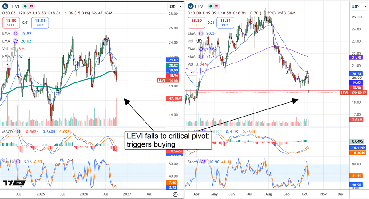 Two LEVI stock price charts with moving averages and MACD indicators, annotated showing shares falling to a critical pivot level.