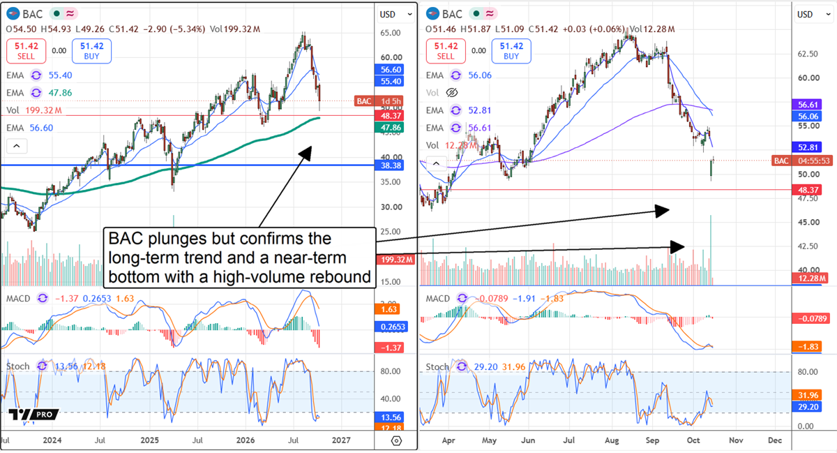 Side-by-side long-term and short-term stock price charts for Bank of America showing a plunge, trend line, and rebound.