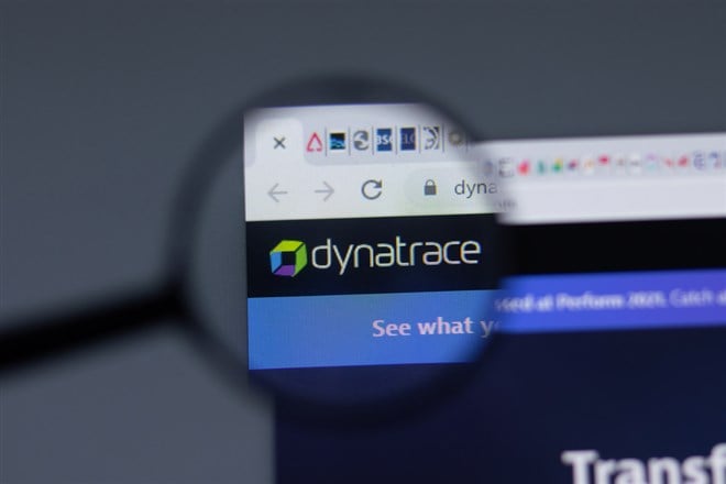 Dynatrace stock price