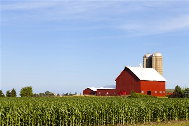 Image of a farm with a corn crop in front of a barn; how to invest in agriculture overview