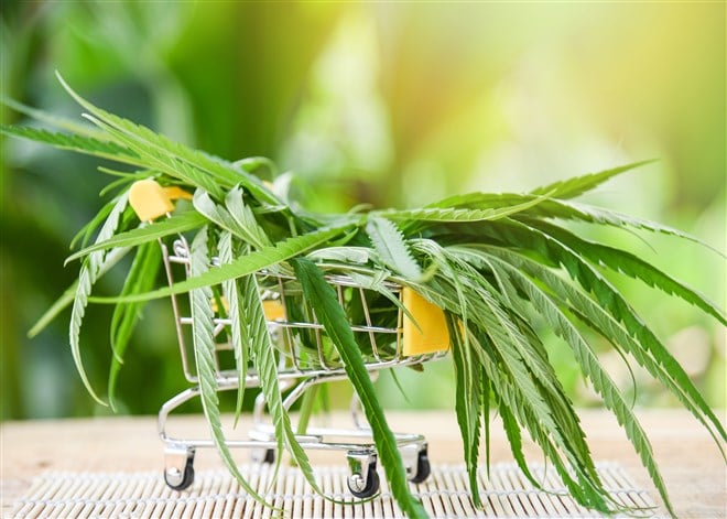 photo of cannabis leaf in shopping cart on yellow background