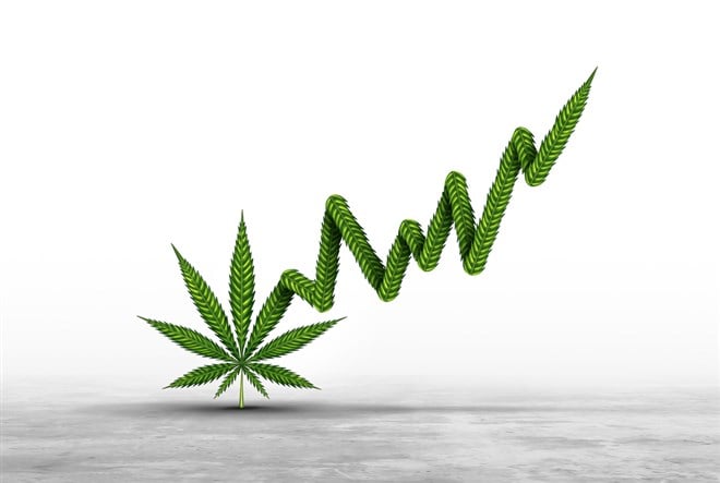 Marijuana stock price gain and rising Cannabis stocks after probable cannabis reclassification